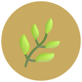 Property Clearance Service