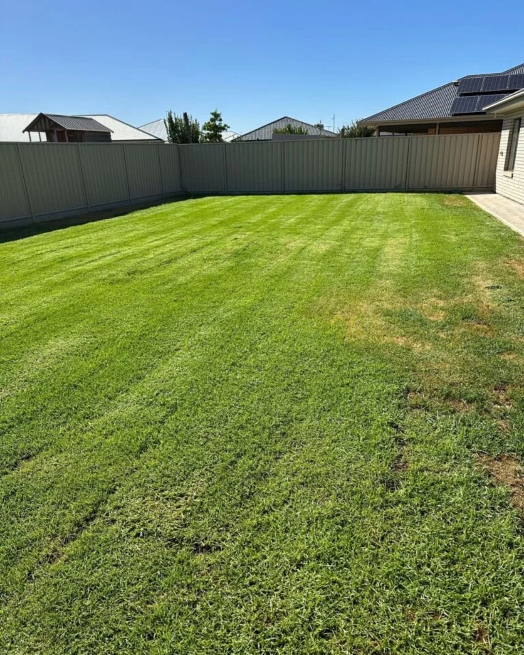 Property Clearance Case Studies Adelaide