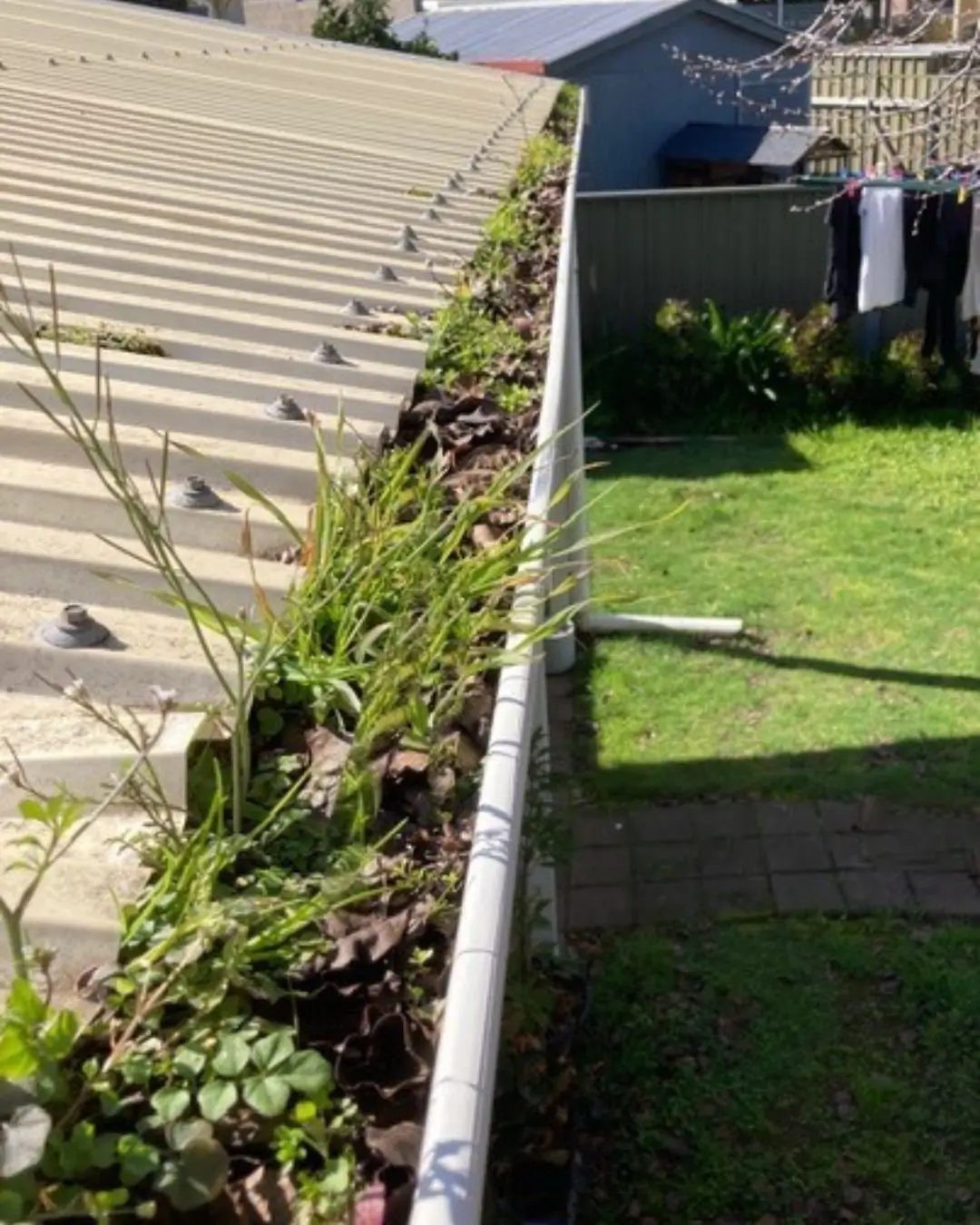 Our Work Deceased Estate in Dover Gardens before cleaning