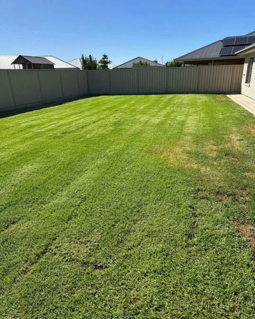 Our Work House Clearance in Sturt garden after