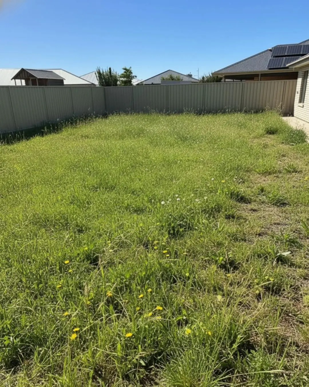 Our Work House Clearance in Sturt garden before